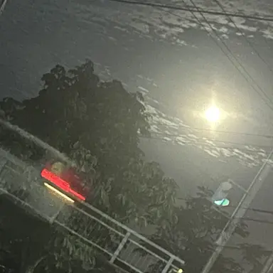 Profile image of 翔真