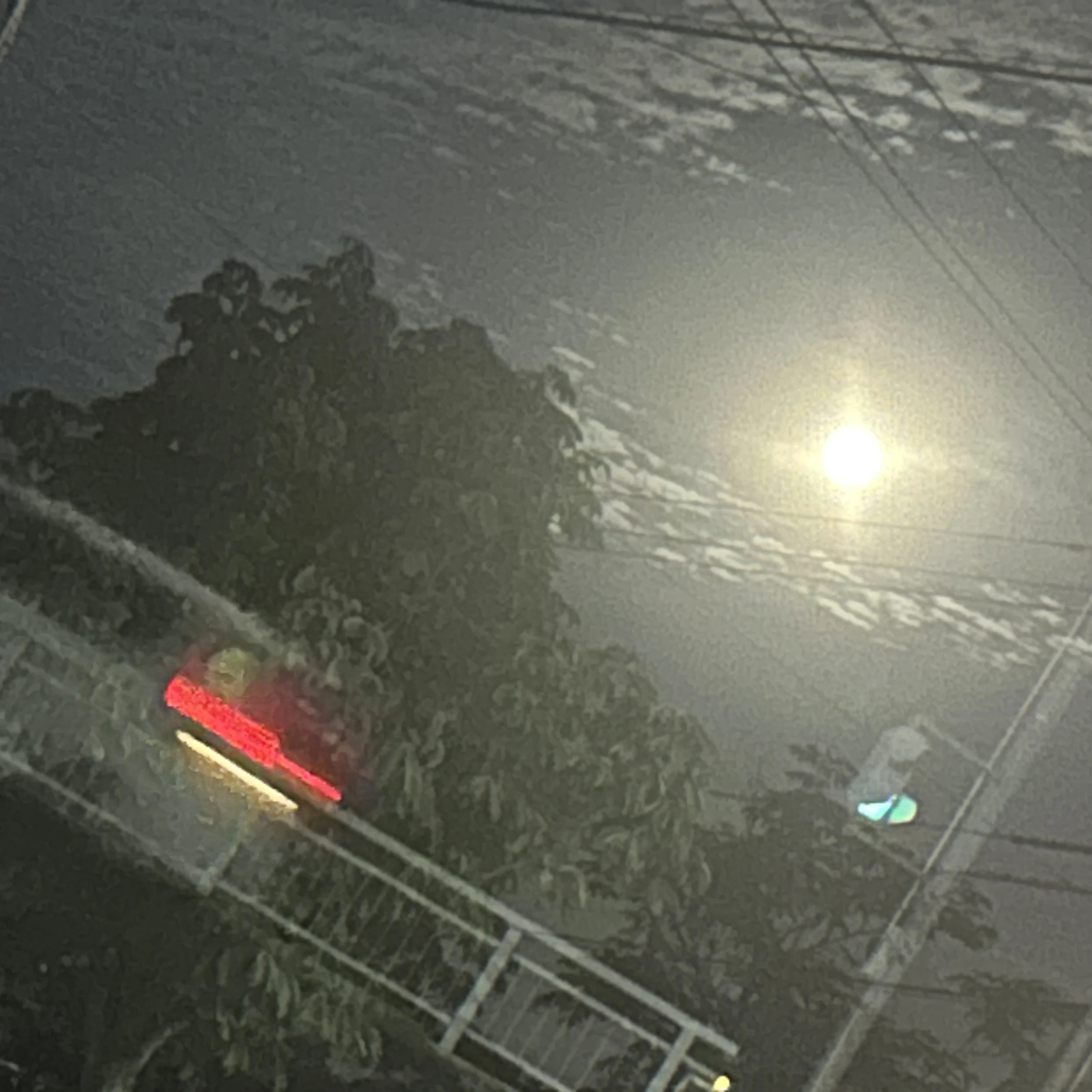 翔真
