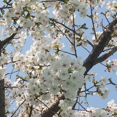 Profile image of 꽥탐