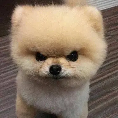 Profile image of 김시은