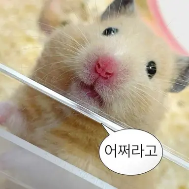 Profile image of 강하윤