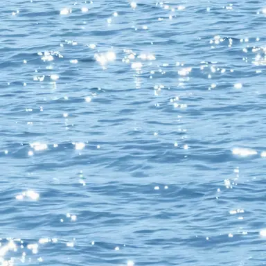 Profile image of 꿈의악마 여우