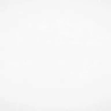 Profile image of 김영웅