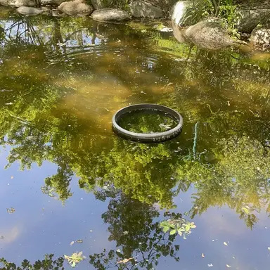 Profile image of 박덕개