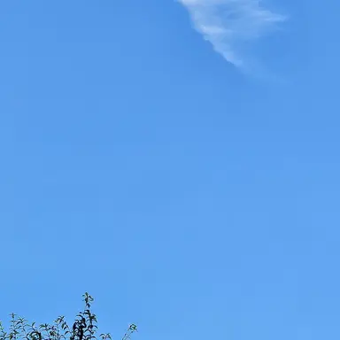 Profile image of 유기사