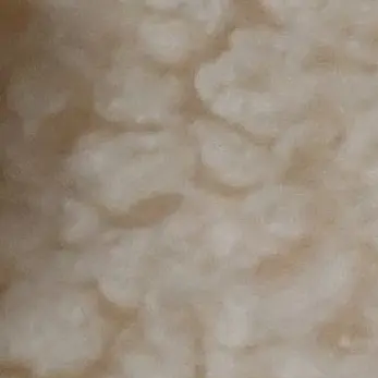 Profile image of 여우