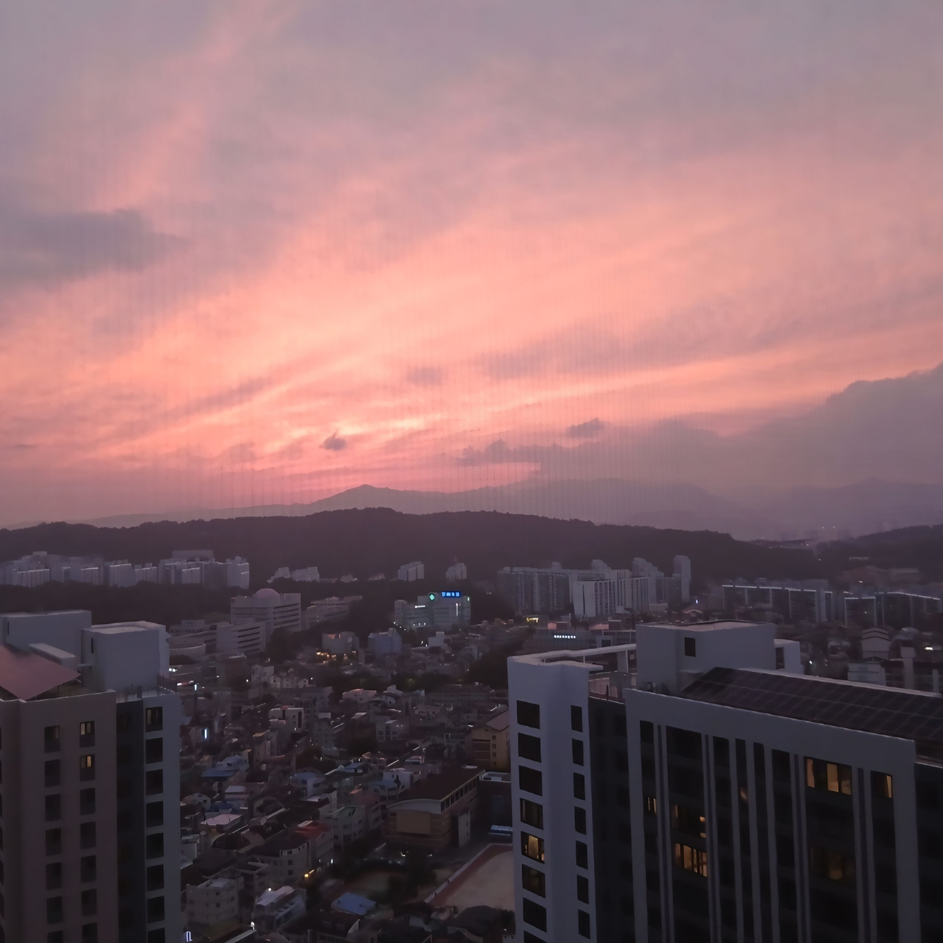소방서옆경찰서그리고국과수 미수반!! 대표 이미지