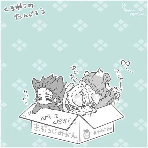 BaldQuake6254의 可愛らしい猫ちゃんたち！