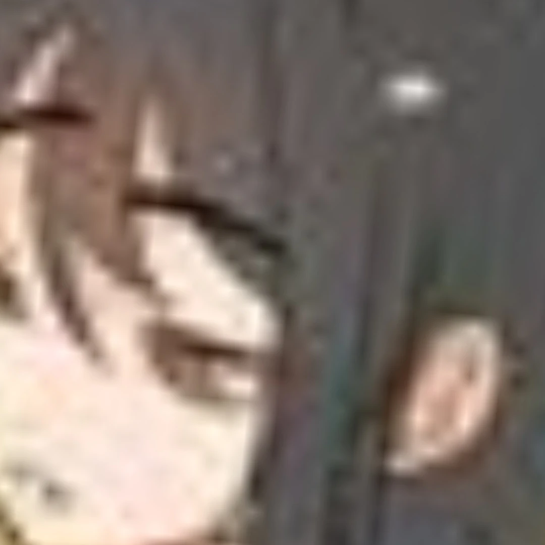 각별