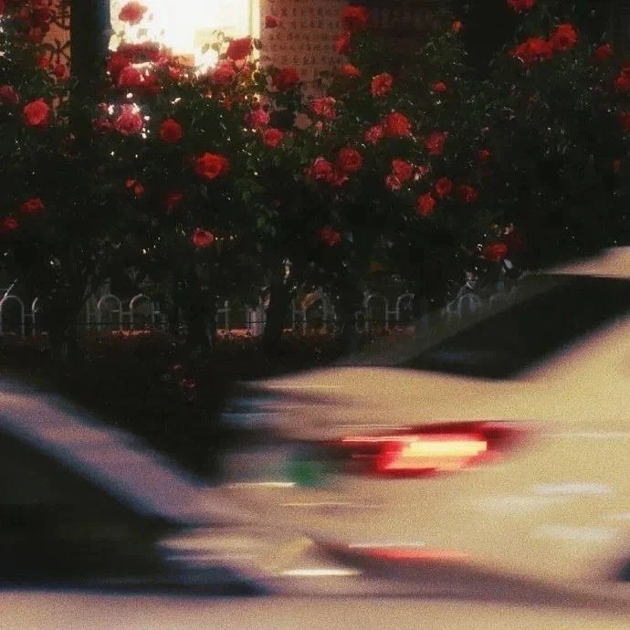 강 철