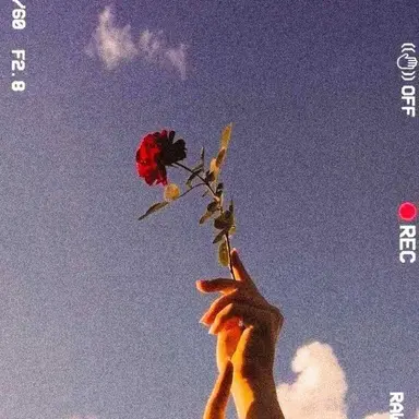 Profile image of 김일영