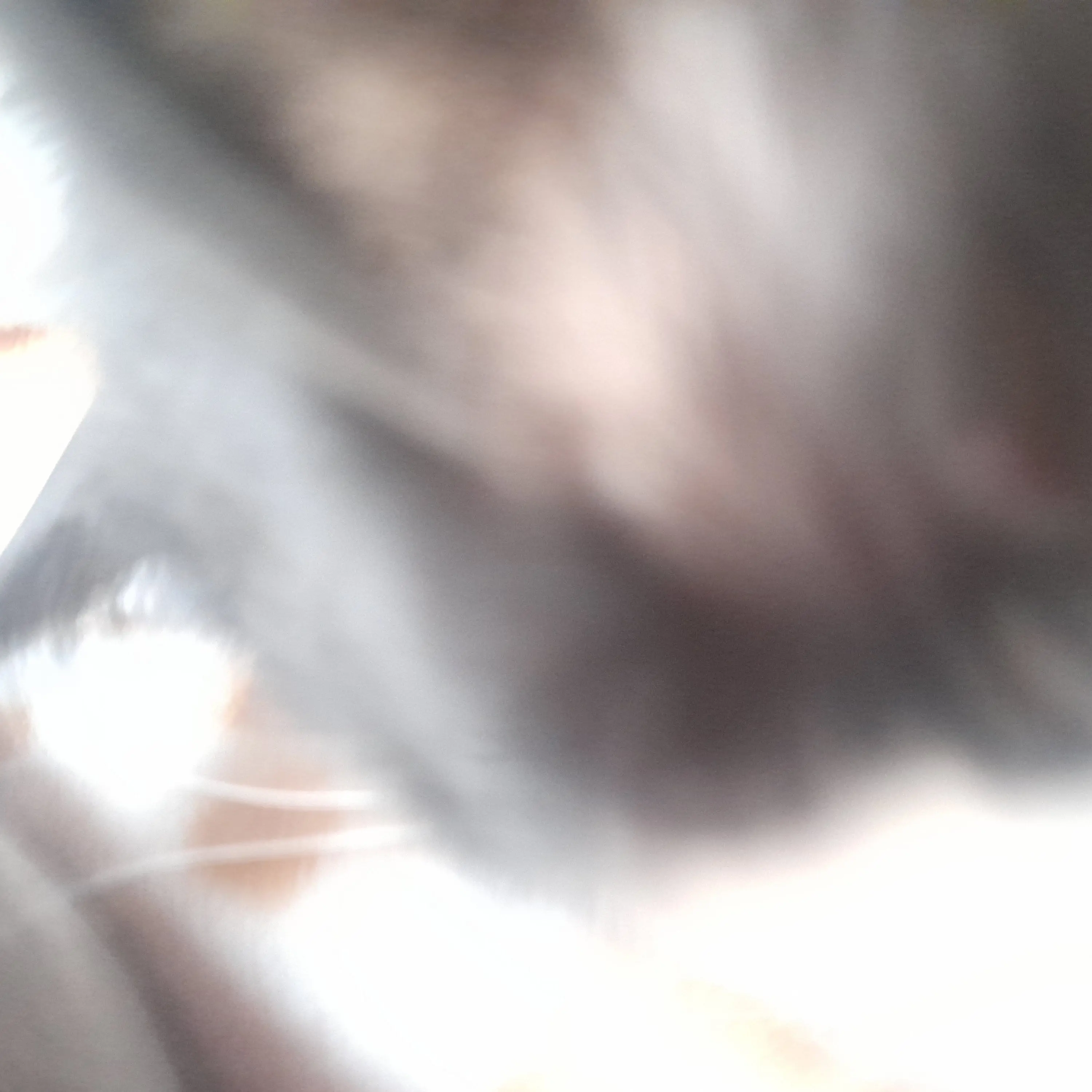 RearOtter5226의 여우, 벨키, 멜로우, 그리고 나머지