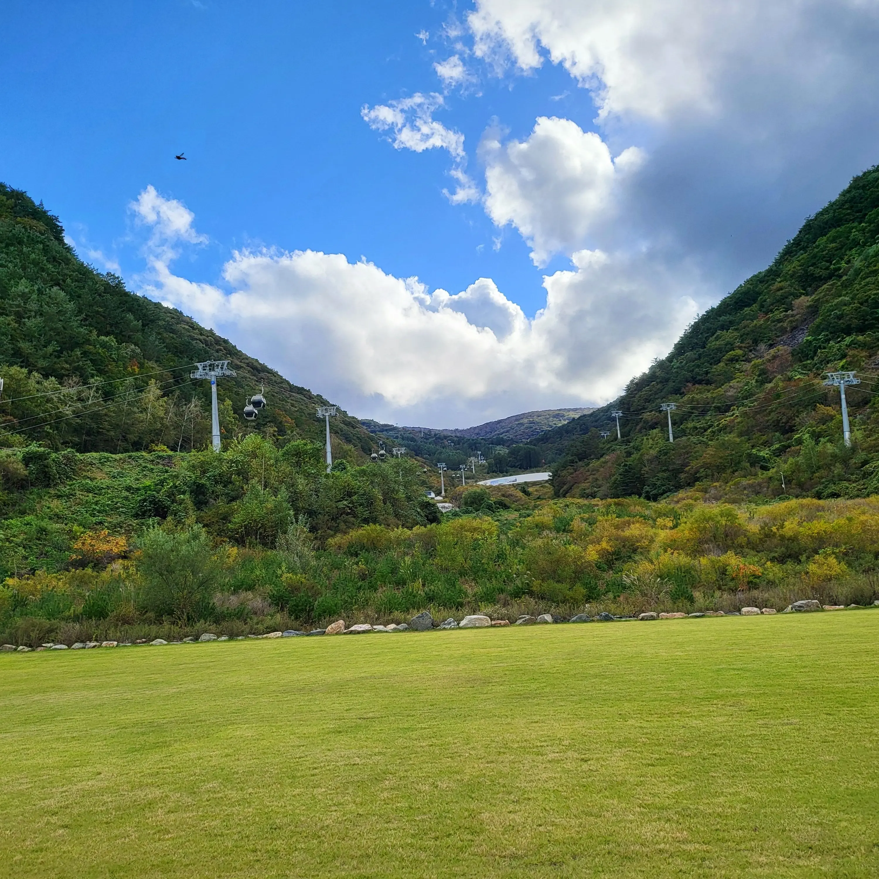 FunnyBonus1816의 ㅇㅇ고등학교