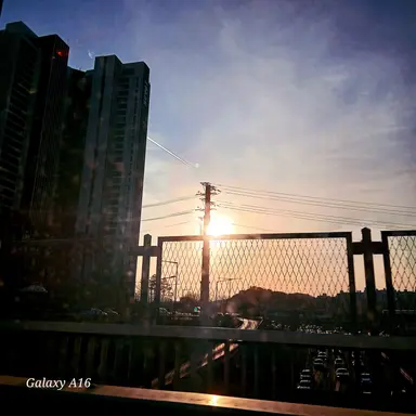Profile image of 블사