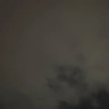 Profile image of 美波