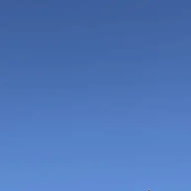 Profile image of 翔太