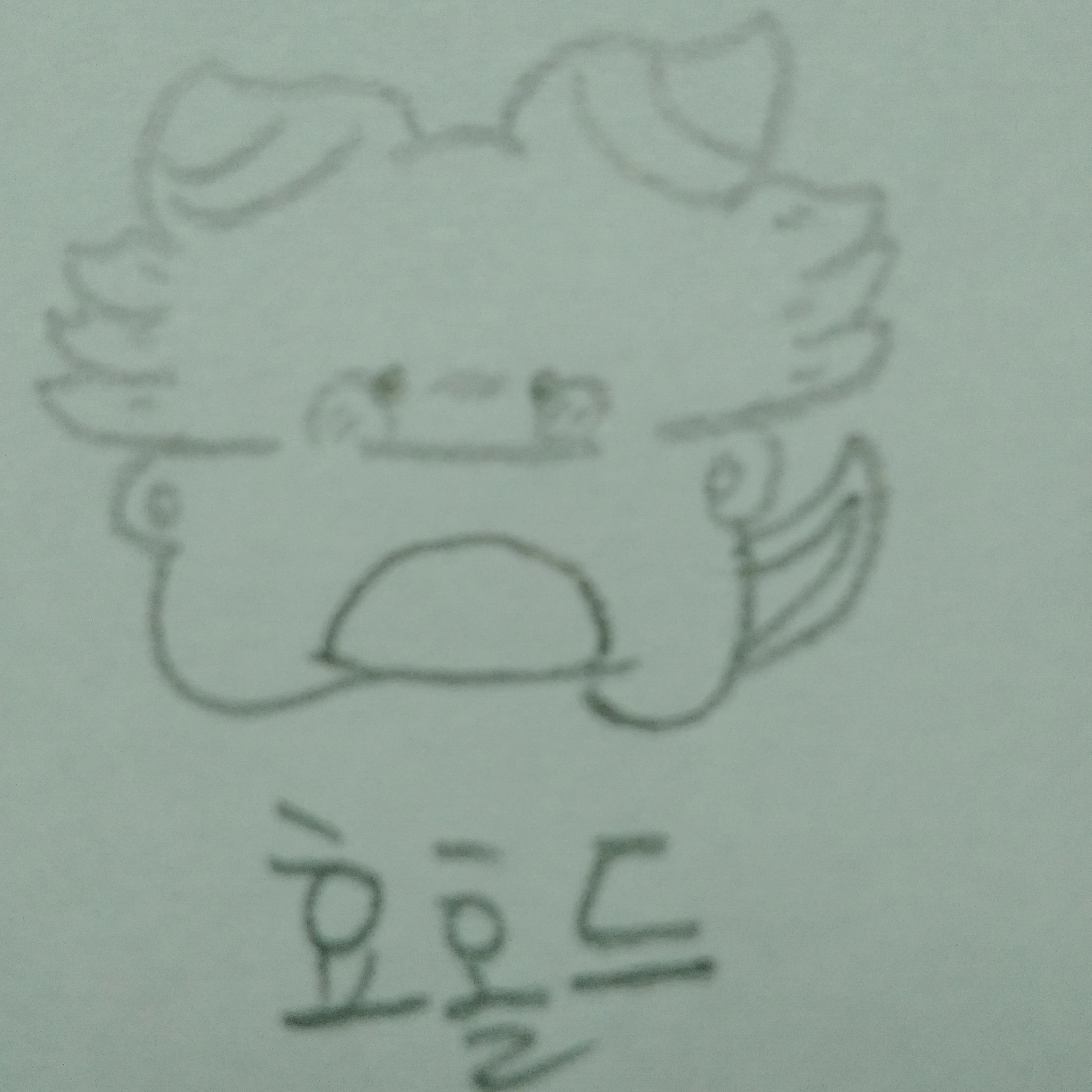 효홀드