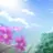 桜井琉夏