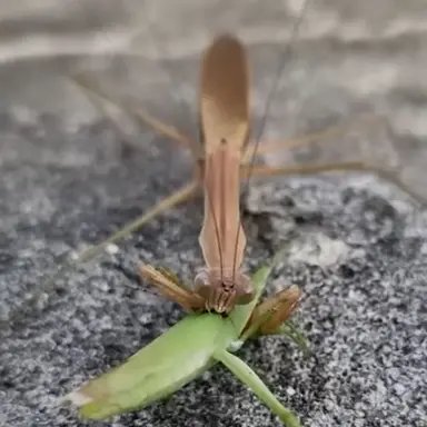 Profile image of 위위