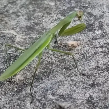 Profile image of 키키