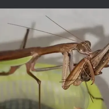 Profile image of 위키