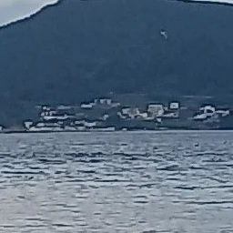 다크오로라쿠키