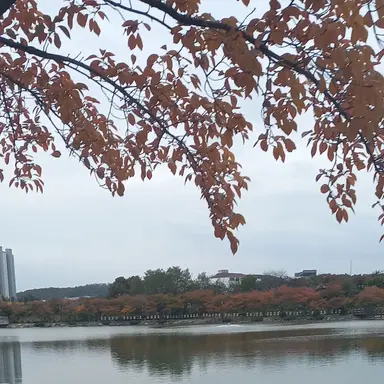 Profile image of 바람궁수