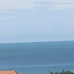 Profile image of 바다요정