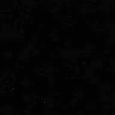 Profile image of 루이 언니