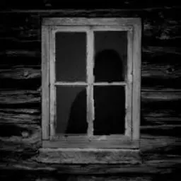 Profile image of The Windows