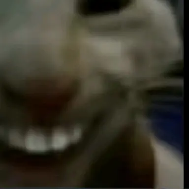 Profile image of 미미