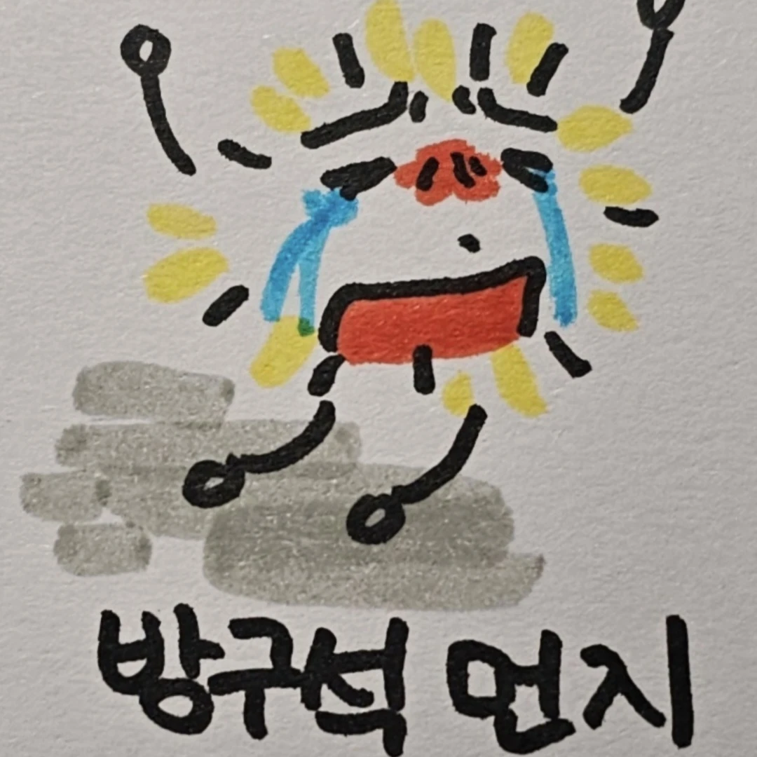 방먼지