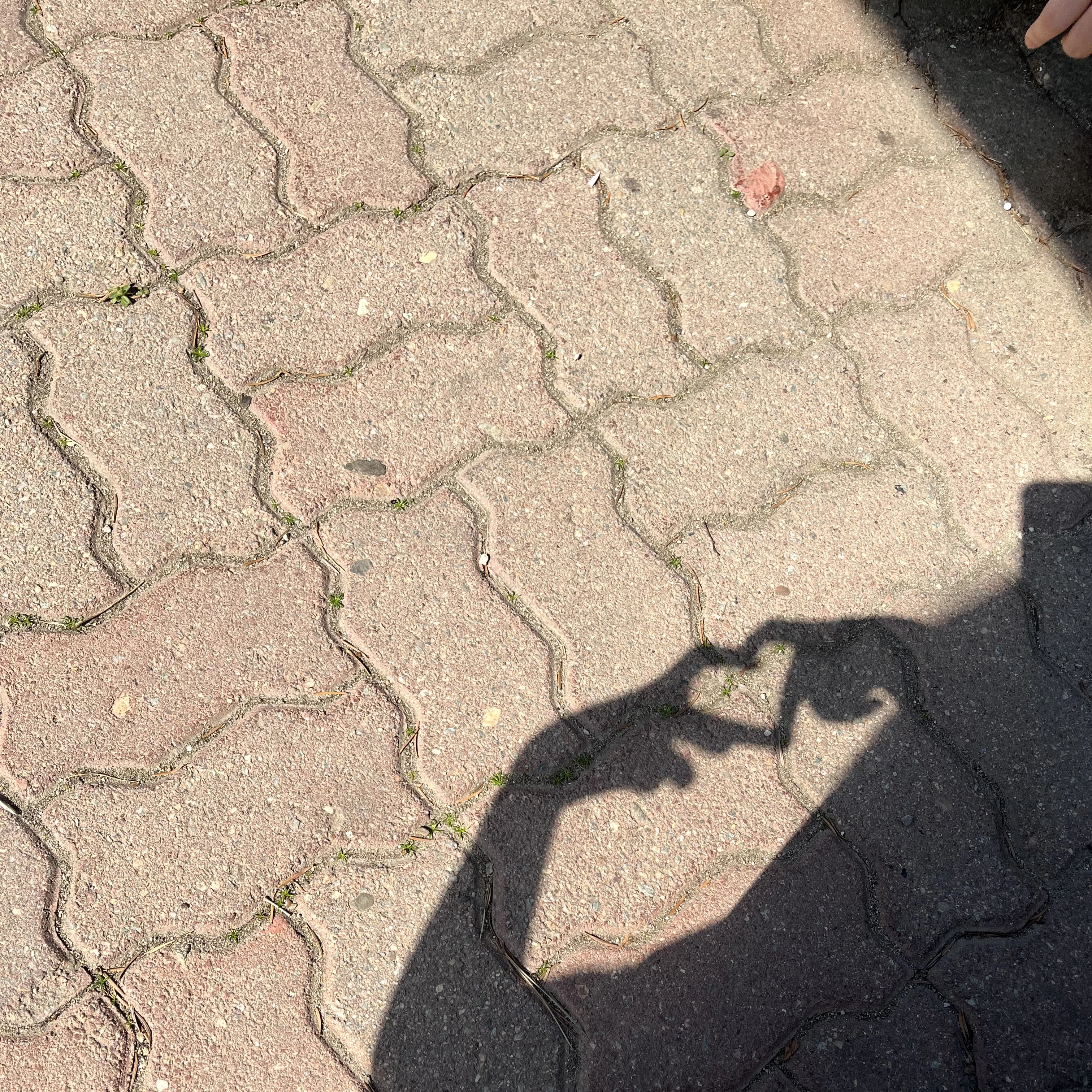권지용