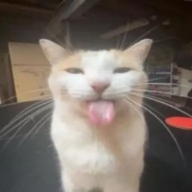 Profile image of 도우미