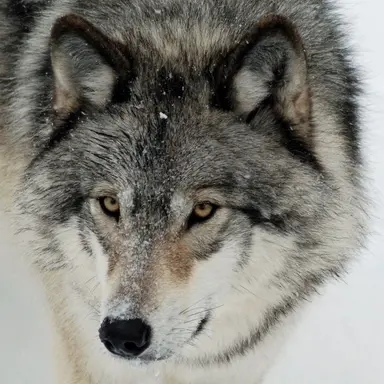 Profile image of テヒョン