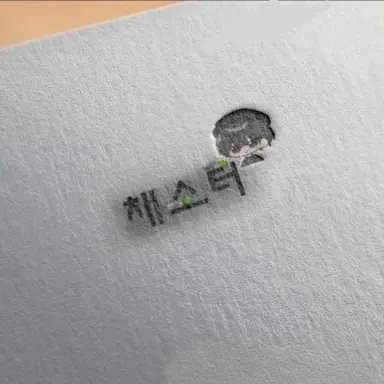Profile image of 채스터