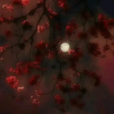 Profile image of 라더