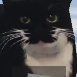 Profile image of 미미