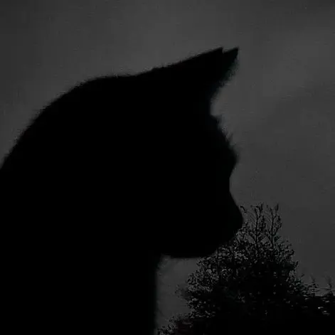 NekotyanKAWII의 君がいないと