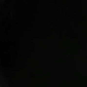 김동현