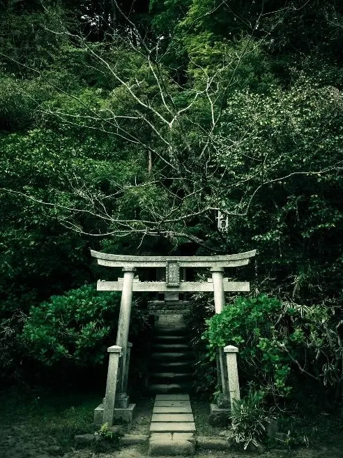 SecureBag7478의 九尾の花嫁