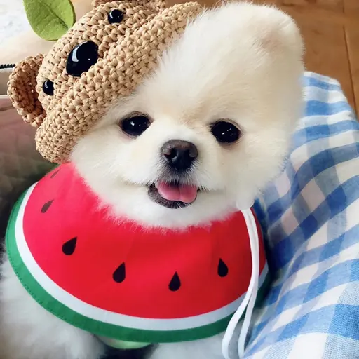 SmoothYawn5585의 이슬이