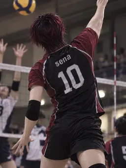 Profile image of Sena