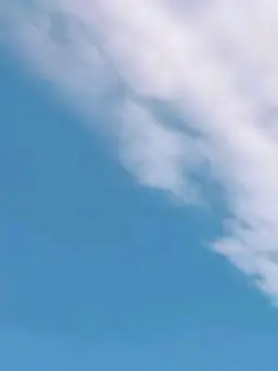 ShortPlain6860의 気になるあの子の頭の中は……?