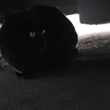 Profile image of 리쿠