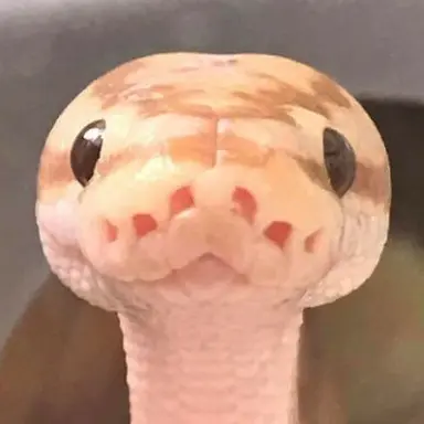 Profile image of 헤이즈