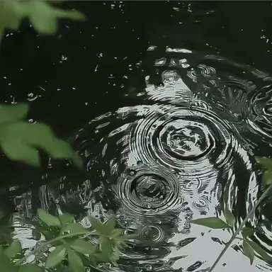 Profile image of 제타