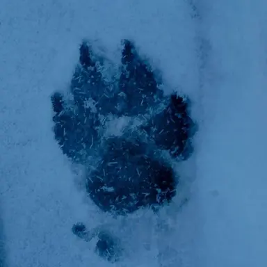 Profile image of 오메가