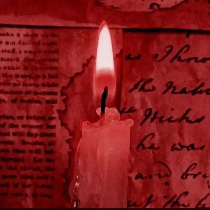 RapierTrail0995의 산에서 만난 요괴.