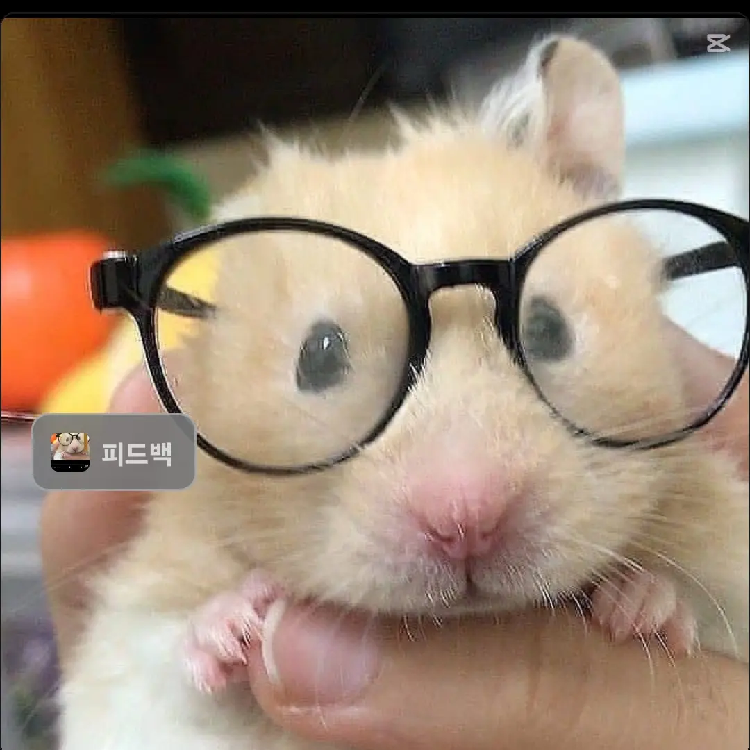 CockyGown9647의 회초리때려도 말안들음